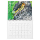 Agenda voor backyard Series Caterpilars Kalender (Mar 2027)