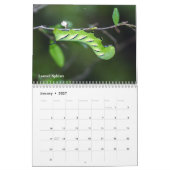 Agenda voor backyard Series Caterpilars Kalender (Jan 2027)