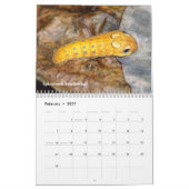Agenda voor backyard Series Caterpilars Kalender (Feb 2027)