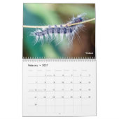 Agenda voor backyard Series Caterpilars Kalender (Feb 2027)