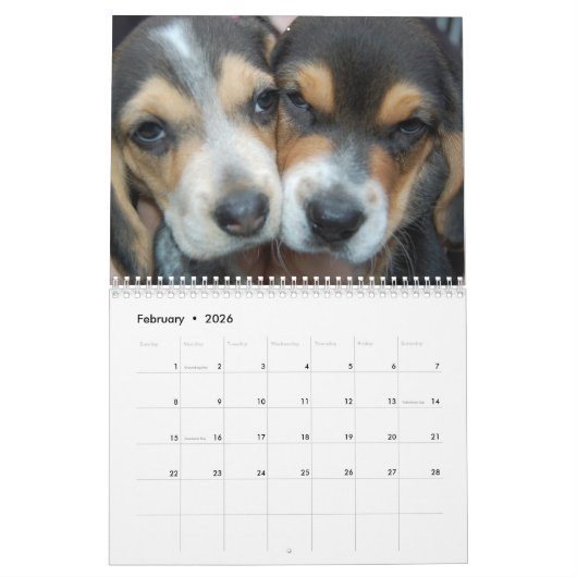 Agenda voor balken kalender (Feb 2026)