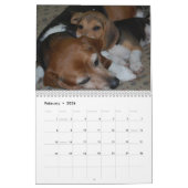 Agenda voor balken kalender (Feb 2026)