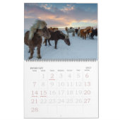 Agenda voor bewerkbare paarden kalender (Feb 2027)