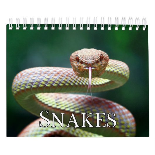 Agenda voor Collecties Kalender (Hoes)
