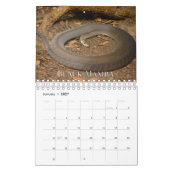 Agenda voor Collecties Kalender (Jan 2027)