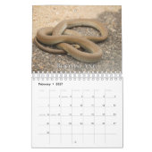 Agenda voor Collecties Kalender (Feb 2027)