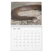Agenda voor Collecties Kalender (Mar 2027)