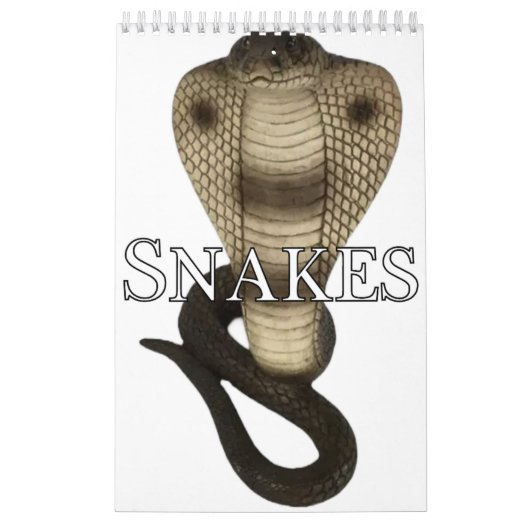 Agenda voor Collecties Kalender (Hoes)