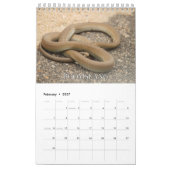 Agenda voor Collecties Kalender (Feb 2027)