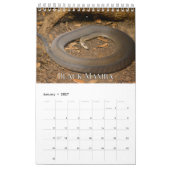 Agenda voor Collecties Kalender (Jan 2027)