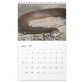 Agenda voor Collecties Kalender (Mar 2027)