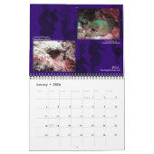 Agenda voor Curaao-herinneringen Kalender (Jan 2026)