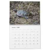 Agenda voor de gesorteerde dieren kalender (Jan 2027)