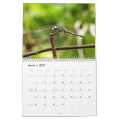 Agenda voor de gesorteerde dieren kalender (Mar 2027)