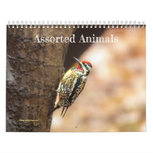 Agenda voor de gesorteerde dieren kalender