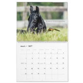 Agenda voor Friesian Horse Psalm 23 Kalender (Mar 2027)