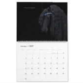 Agenda voor Friesian Horse Psalm 23 Kalender (Jan 2027)