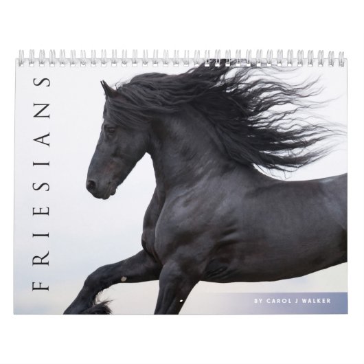 Agenda voor Friesian Horses Kalender (Hoes)