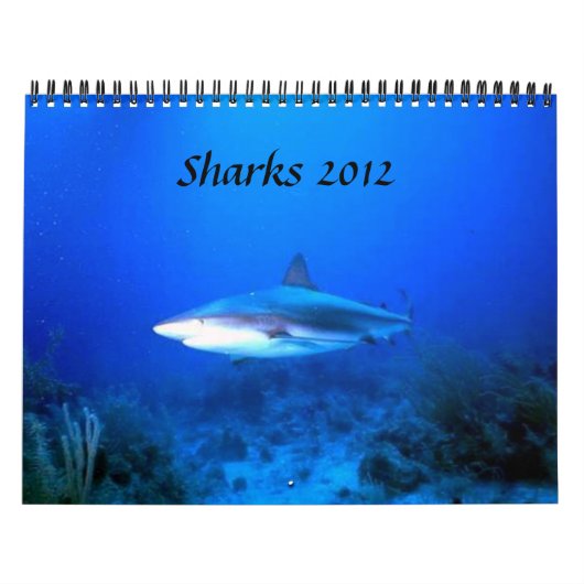 Agenda voor haaien 2012 kalender (Hoes)