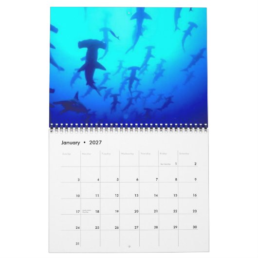 Agenda voor haaien 2013 kalender (Jan 2027)