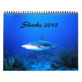 Agenda voor haaien 2013 kalender (Hoes)