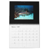 Agenda voor haaien 2014 kalender (Feb 2027)