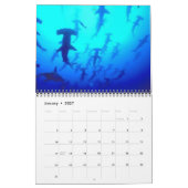 Agenda voor haaien 2014 kalender (Jan 2027)
