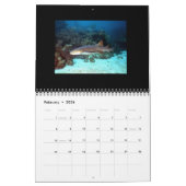 Agenda voor haaien 2014 kalender (Feb 2026)