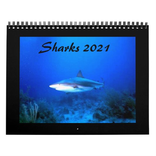 Agenda voor haaien 2021 kalender (Hoes)