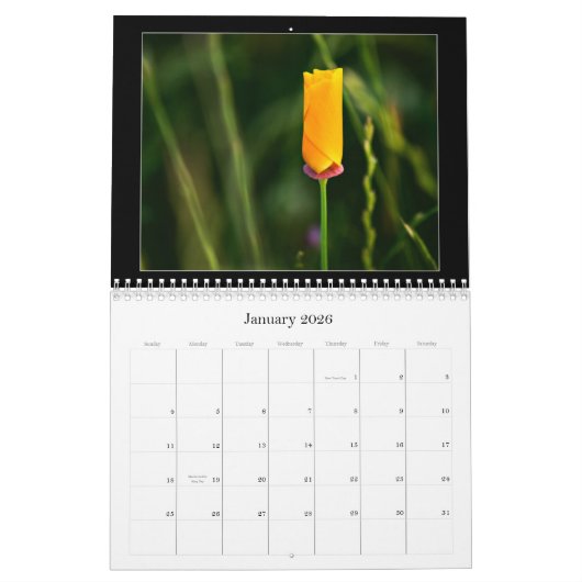 Agenda voor kleurenfotografie 2010 kalender (Jan 2026)