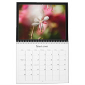 Agenda voor kleurenfotografie 2010 kalender (Mar 2026)