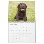 Agenda voor labrador Retriever-honden -  Kalender (Mar 2026)