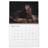 Agenda voor labrador Retriever-honden -  Kalender (Feb 2026)