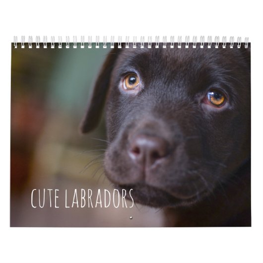 Agenda voor labrador Retriever-honden - Kalender (Hoes)