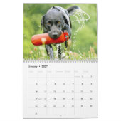 Agenda voor labrador Retriever-honden - Kalender (Jan 2027)