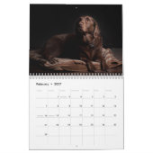 Agenda voor labrador Retriever-honden - Kalender (Feb 2027)
