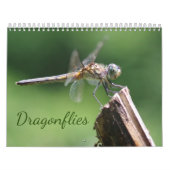 Agenda voor libellen kalender (Hoes)