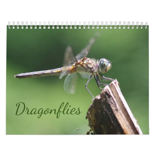 Agenda voor libellen kalender (Hoes)