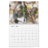Agenda voor libellen kalender (Mar 2027)