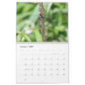 Agenda voor libellen kalender (Jan 2027)