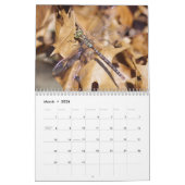 Agenda voor libellen kalender (Mar 2026)