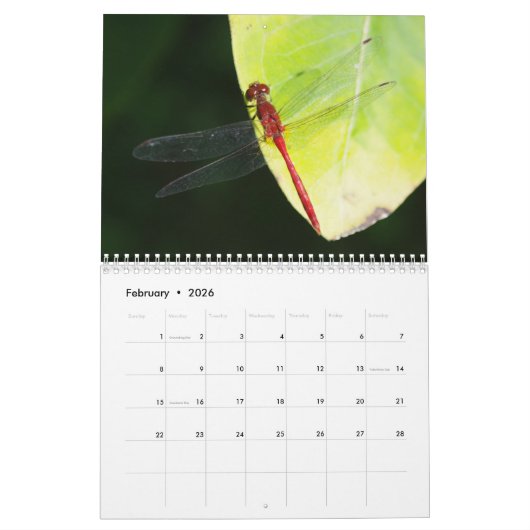 Agenda voor libellen kalender (Feb 2026)
