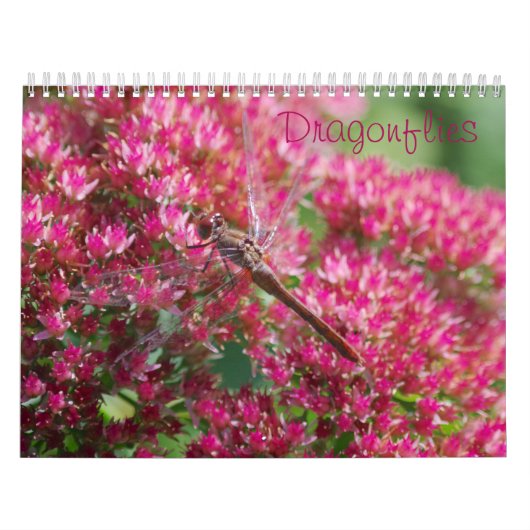 Agenda voor libellen kalender (Hoes)