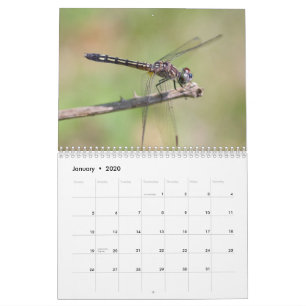 Agenda voor libellen kalender