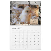 Agenda voor obsessieve kippenziekte kalender (Jan 2027)