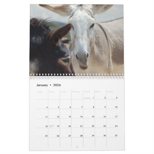 Agenda voor oro's en paarden kalender (Jan 2026)