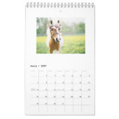 Agenda voor paarden 2018 kalender (Mar 2027)