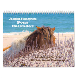 Agenda voor Pony bewerken Kalender