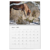 Agenda voor Pony bewerken Kalender (Mar 2027)