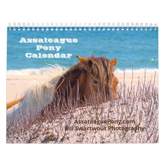 Agenda voor Pony bewerken Kalender (Hoes)